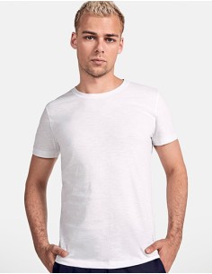 R-CA0396-Terrier T-Shirt 2